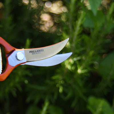 Pallares Gardening Shears - Curved - Carbon Steel