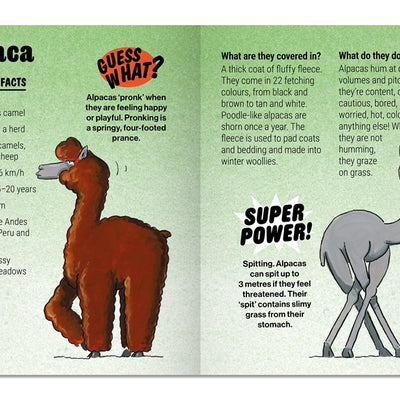 Animals in the Nude Game