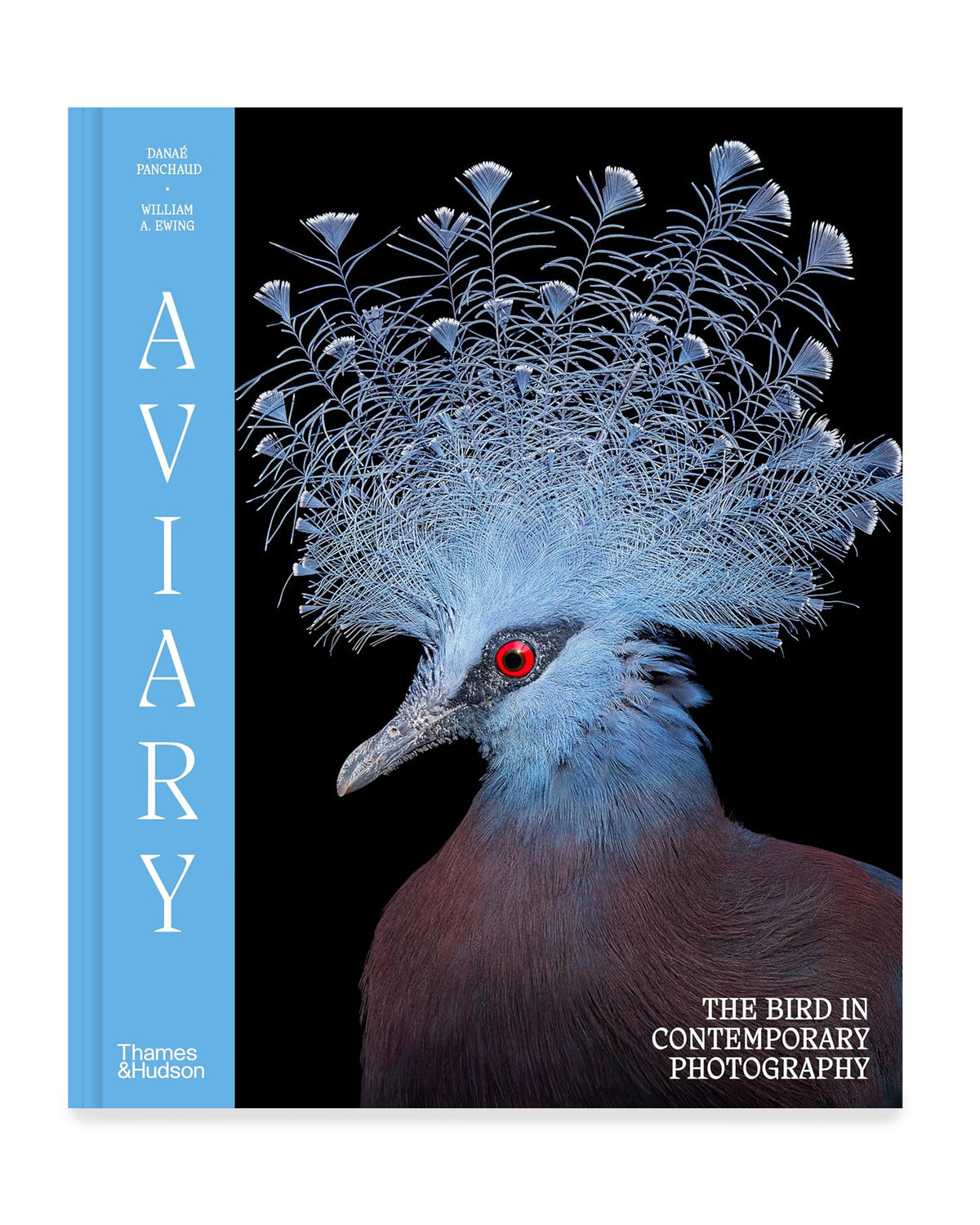 Aviary | Shop NZ Stockist | Bird Photography Coffee Table Book – PAPER ...