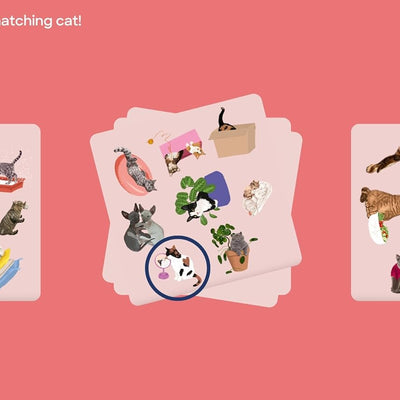 Cat Spotter Game