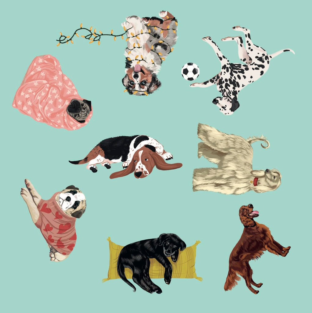 Dog Spotter Game