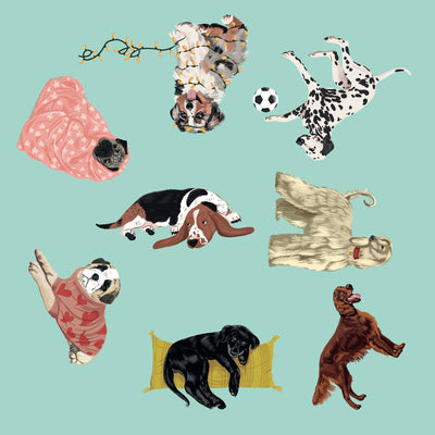 Dog Spotter Game