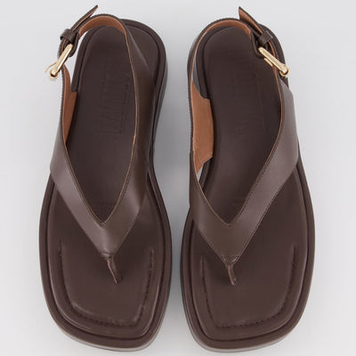 Jocelyn Sandal - Chocolate