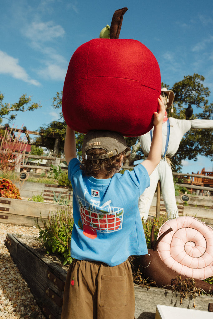 An Apple a Day Boxy Tee