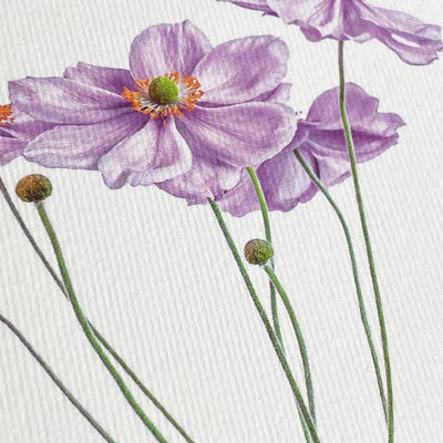 Card - Anemone Flower