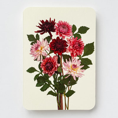 Card - Garden Dahlias