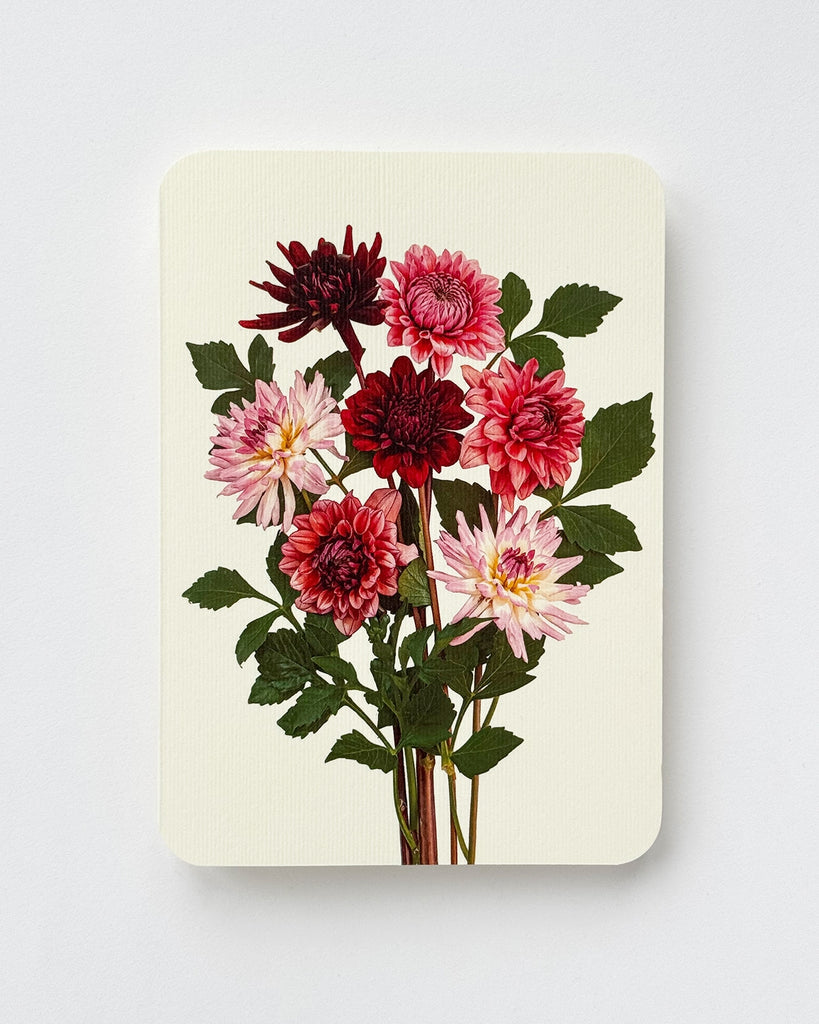 Card - Garden Dahlias
