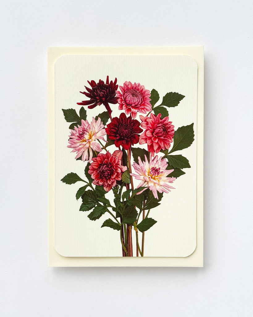 Card - Garden Dahlias
