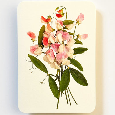 Card - Pink Sweet Peas