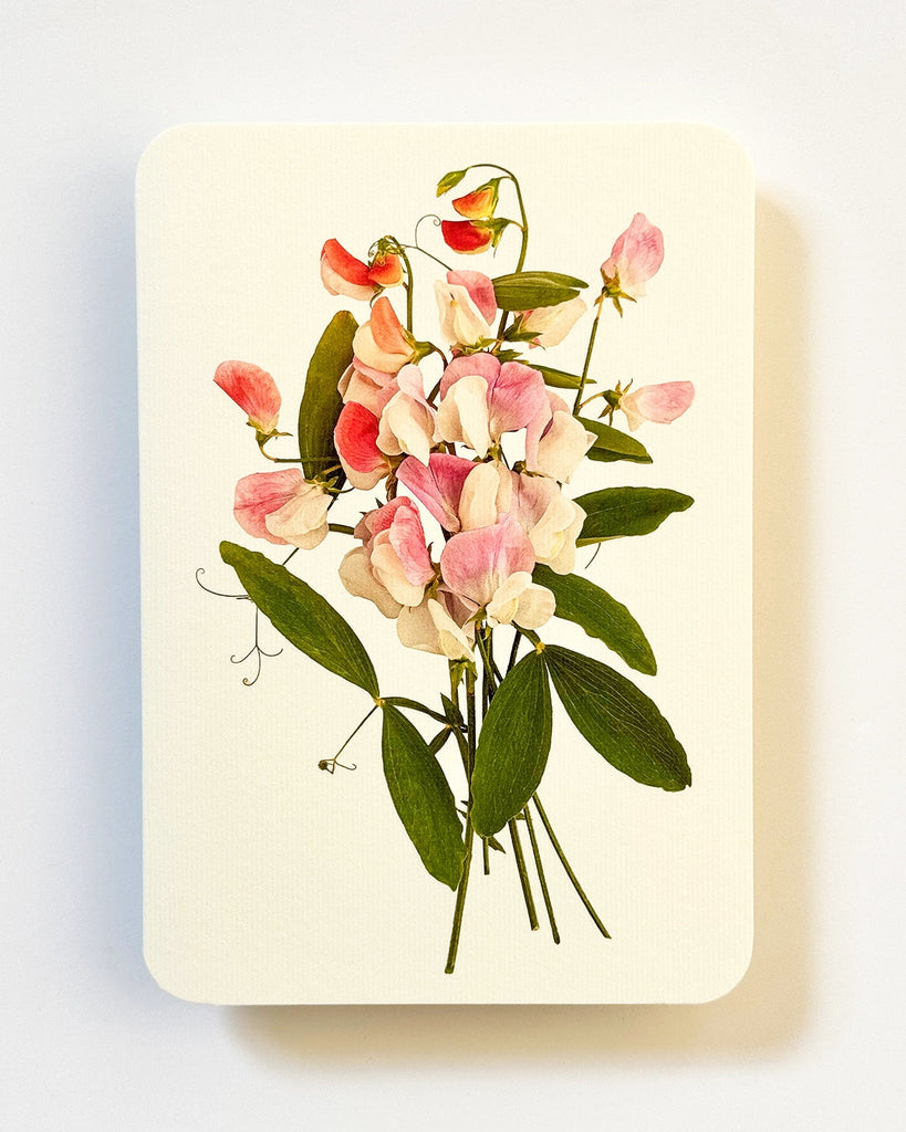 Card - Pink Sweet Peas