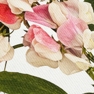 Card - Pink Sweet Peas