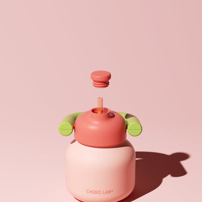 Linlin Stainless Water Bottle - Watermelon