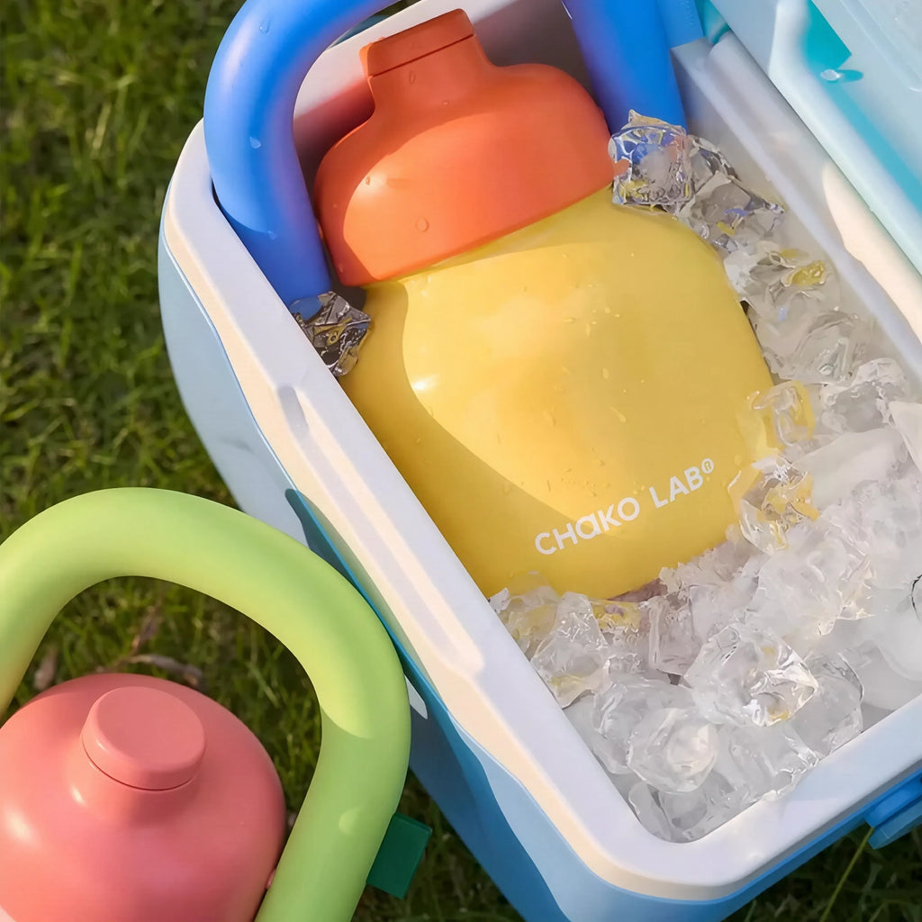 Linlin Stainless Water Bottle - Yellow & Blue