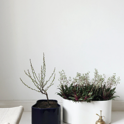 Blue Artek Riihitie Plants Pots B