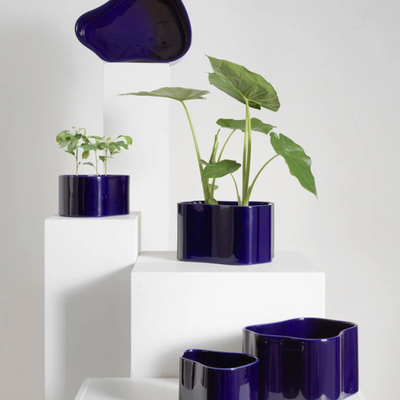 Blue Artek Riihitie Plants Pots A