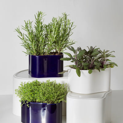 White Artek Riihitie Plant Pot B