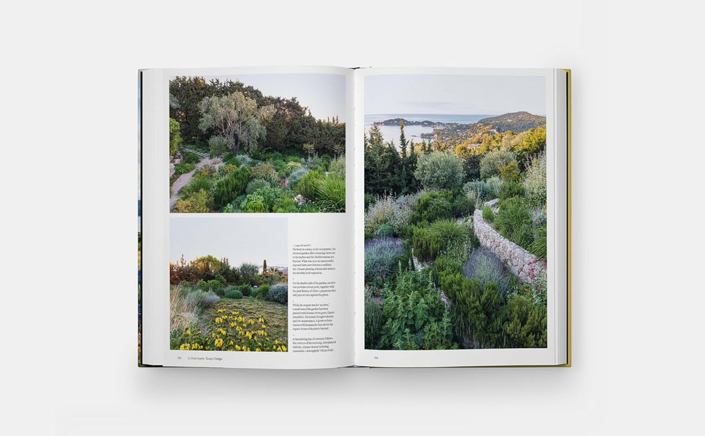Coastal Garden