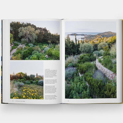 Coastal Garden