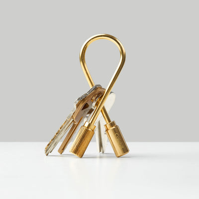 Closed Helix Keyring