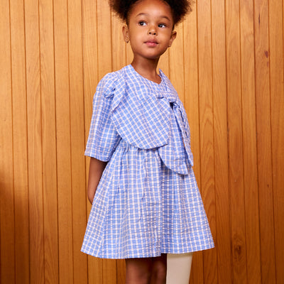 Customisable Poppy Dress - Blue Check
