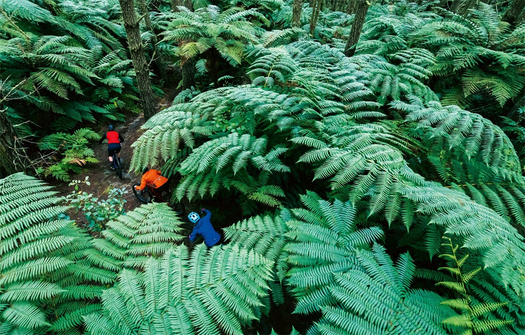 Eden: A Portrait of Mountain Biking in Aotearoa