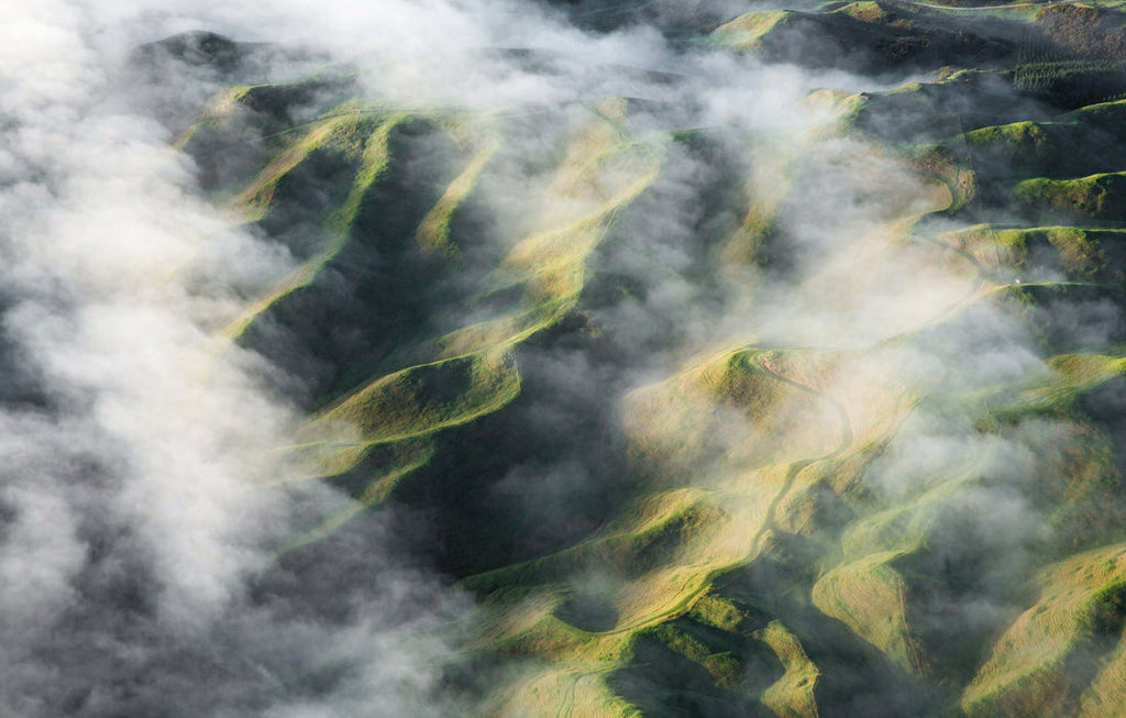 Eden: A Portrait of Mountain Biking in Aotearoa New Zealand