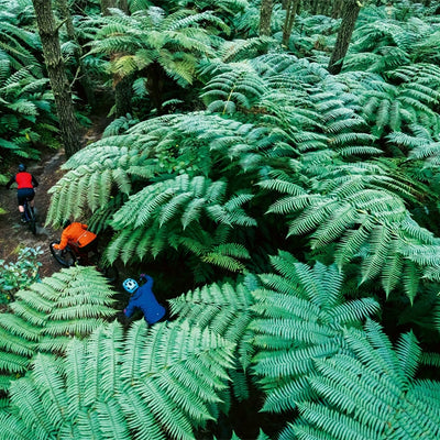 Eden: A Portrait of Mountain Biking in Aotearoa