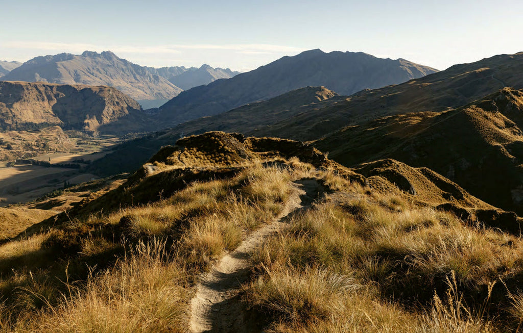 Eden: A Portrait of Mountain Biking in Aotearoa New Zealand