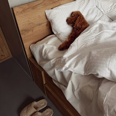 Starley Slippers - Macadamia