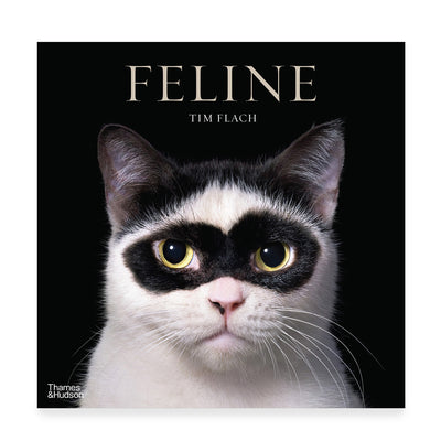 Feline