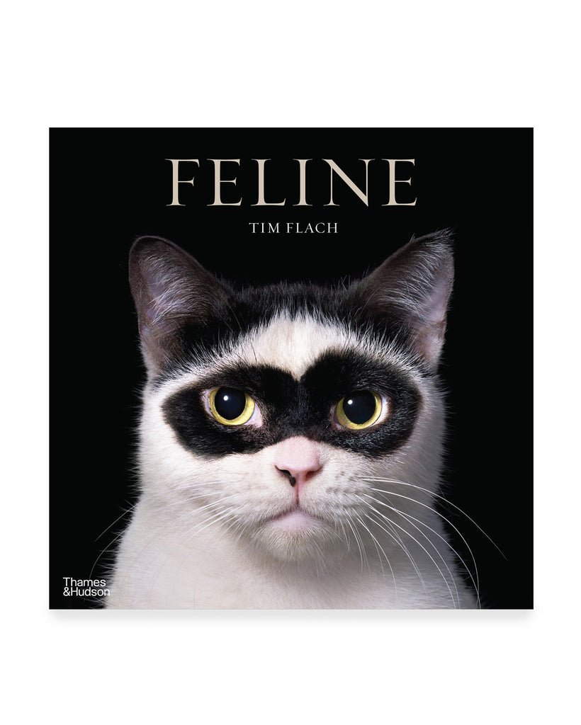 Feline