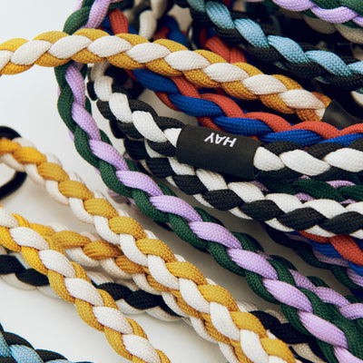 Braided Dog Leash - Blue & Black
