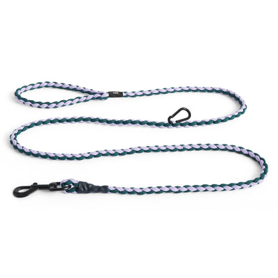 Braided Dog Leash - Lavender & Green
