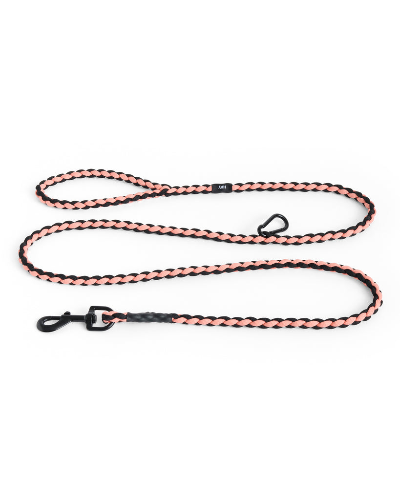 Braided Dog Leash - Pink & Black