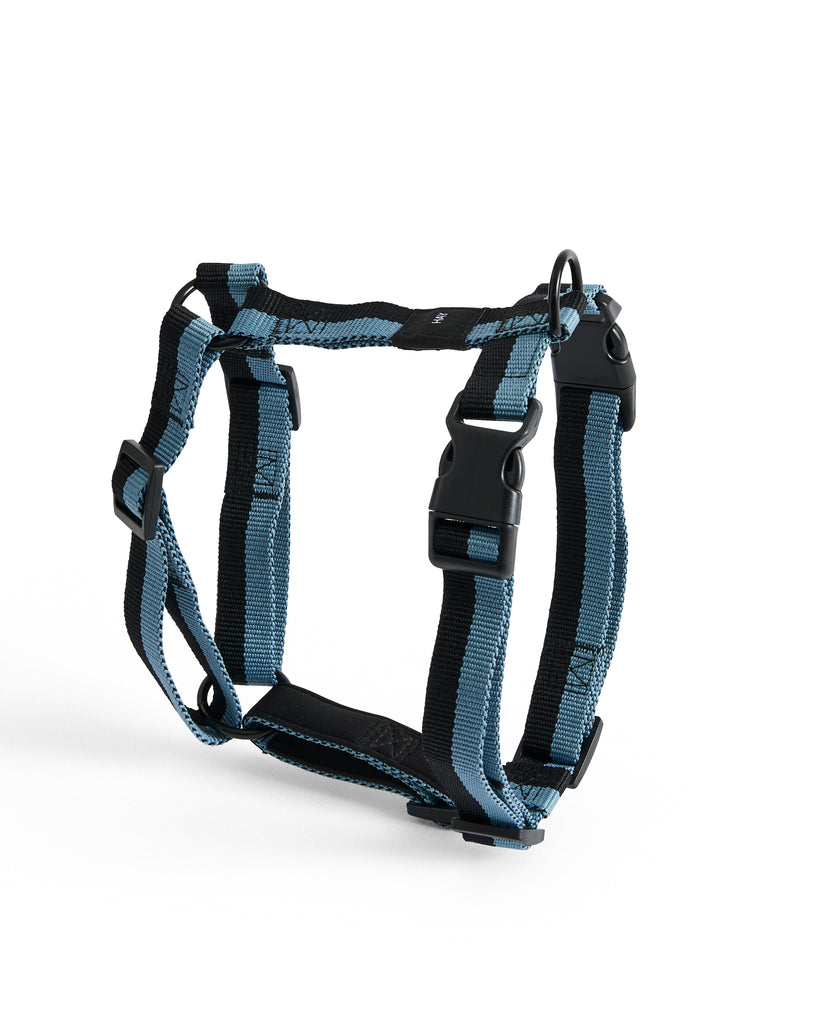 Dog Harness - Blue & Black