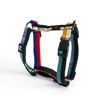 Dog Harness - Multicolour