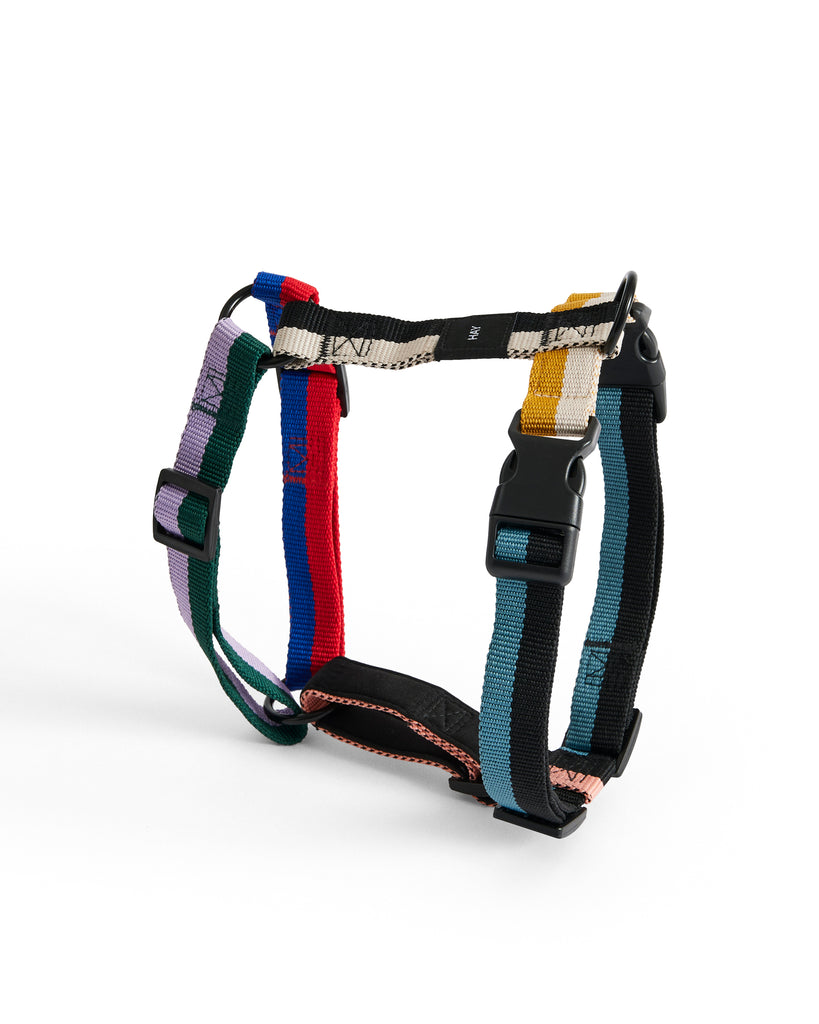 Dog Harness - Multicolour