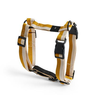 Dog Harness - Yellow & White