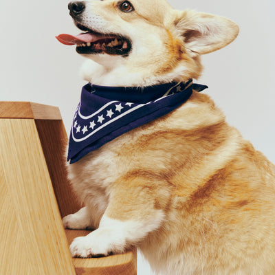 Dog Scarf - Navy
