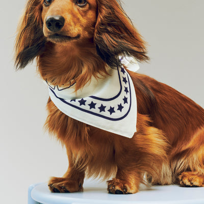 Dog Scarf - Off-White