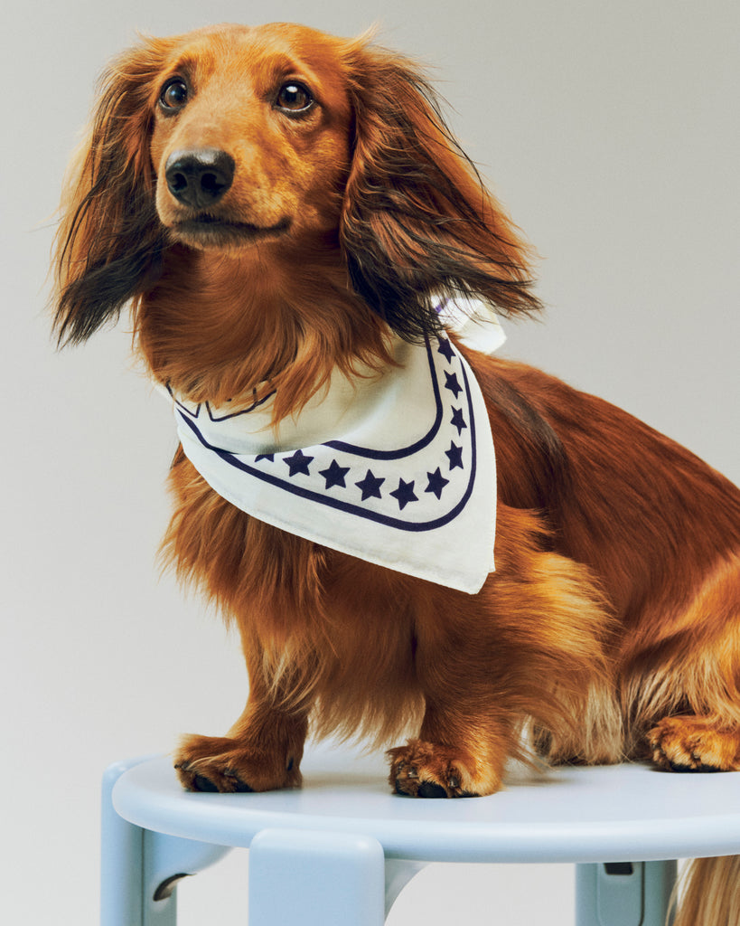 Dog Scarf - Off-White