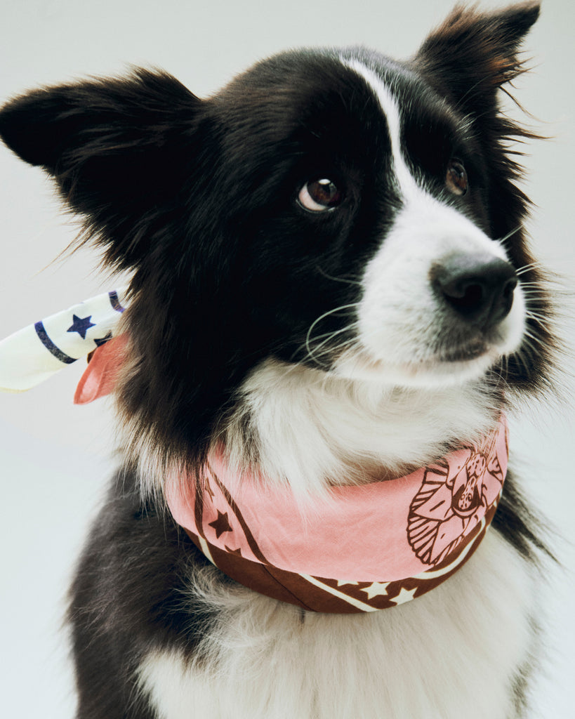Dog Scarf - Pink