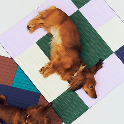 Patchwork Dog Travel Blanket - Lavender & Green