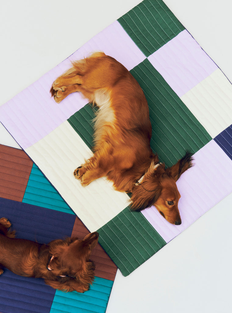 Patchwork Dog Travel Blanket - Lavender & Green