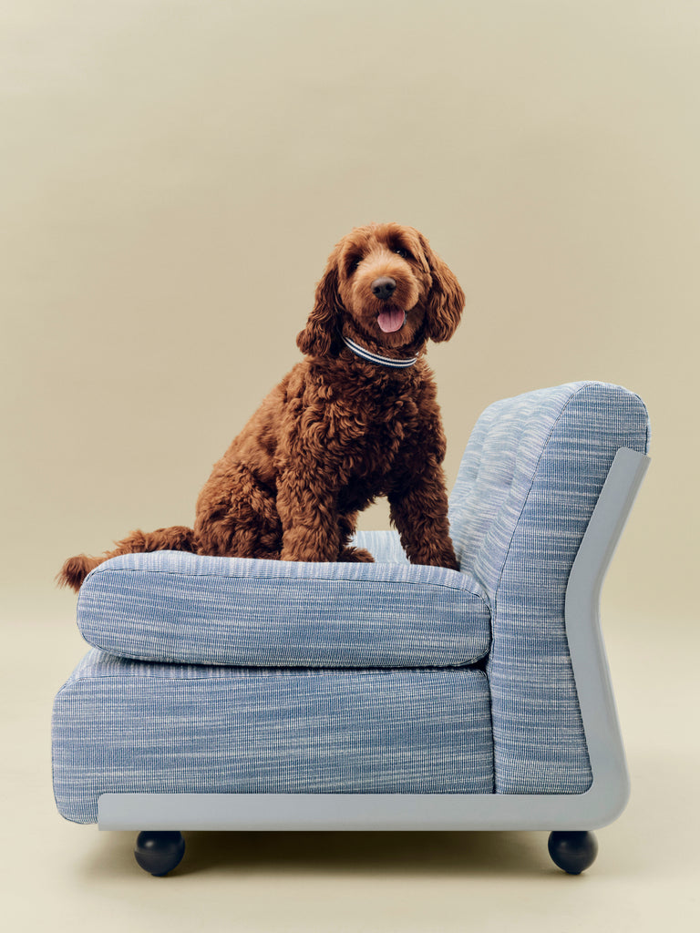 Stripe Dog Collar - Blue & White