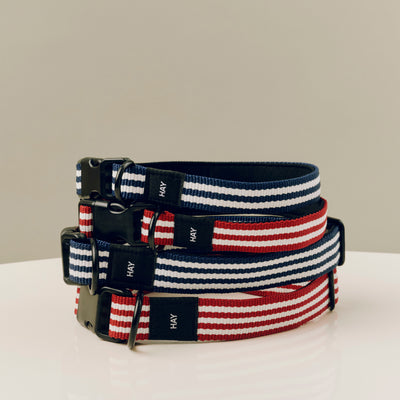Stripe Dog Collar - Blue & White