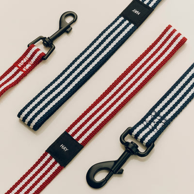 Stripe Dog Leash - Red & White