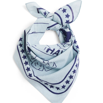 Dog Scarf - Blue