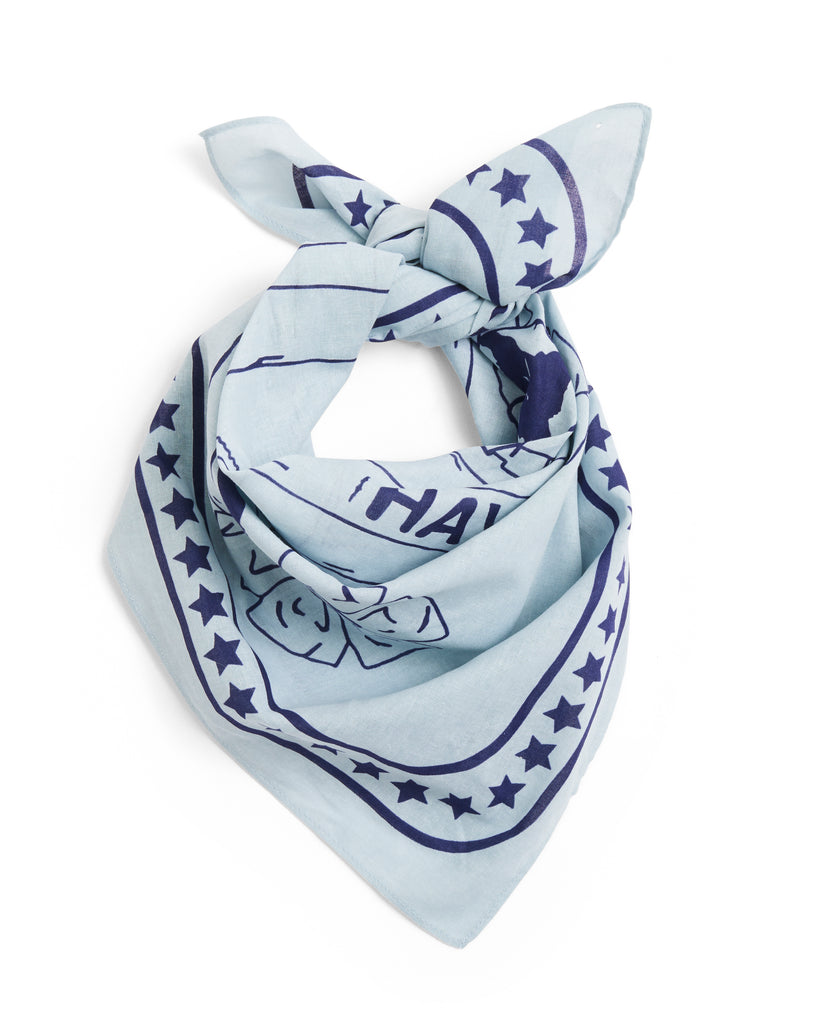 Dog Scarf - Blue