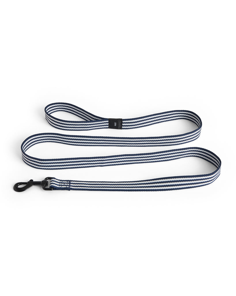 Stripe Dog Leash - Blue & White